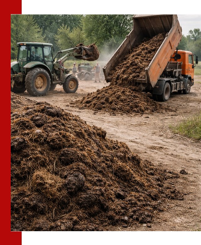 Доставка навоза самосвалами в Кушве для сельхозпотребностей