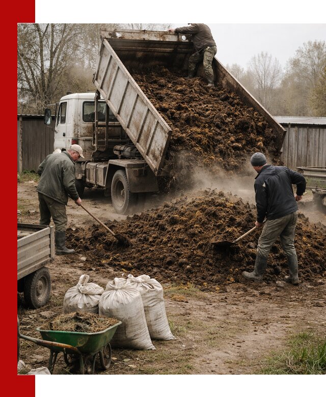 Доставка коровьего навоза самосвалом в Кушве